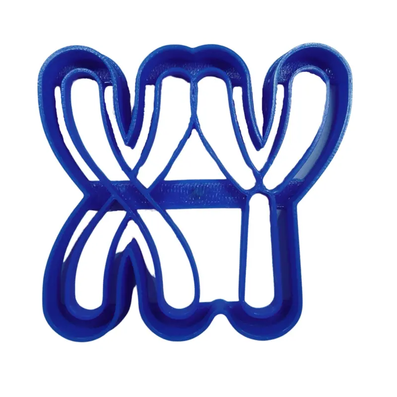 6-Piece Chromosome X & Y Fondant Cutter Set – Science-Themed Cupcake Toppers, Usa-Made 1