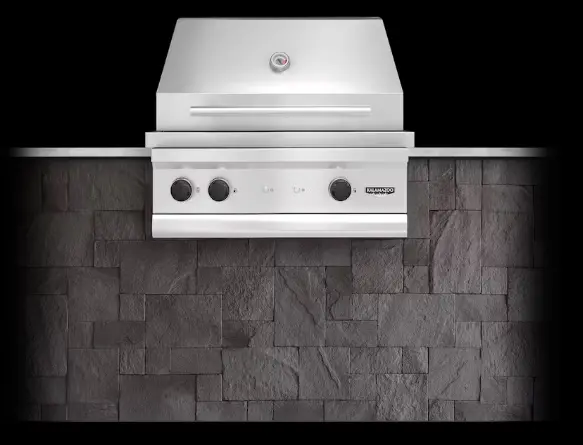 Echo 3 Built-In Gas Grill 1