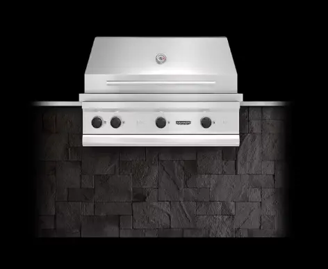Echo 4 Built-In Gas Grill 1