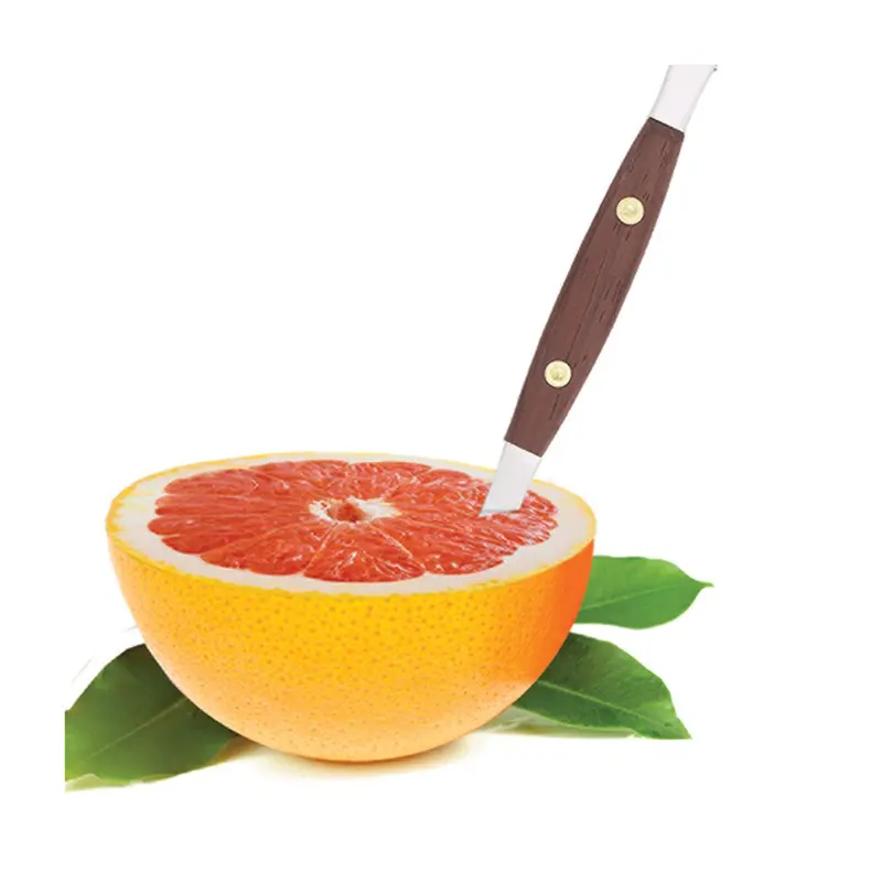 Harold Imports Grapefruit Knife – Mess-Free Segmentation Tool 1