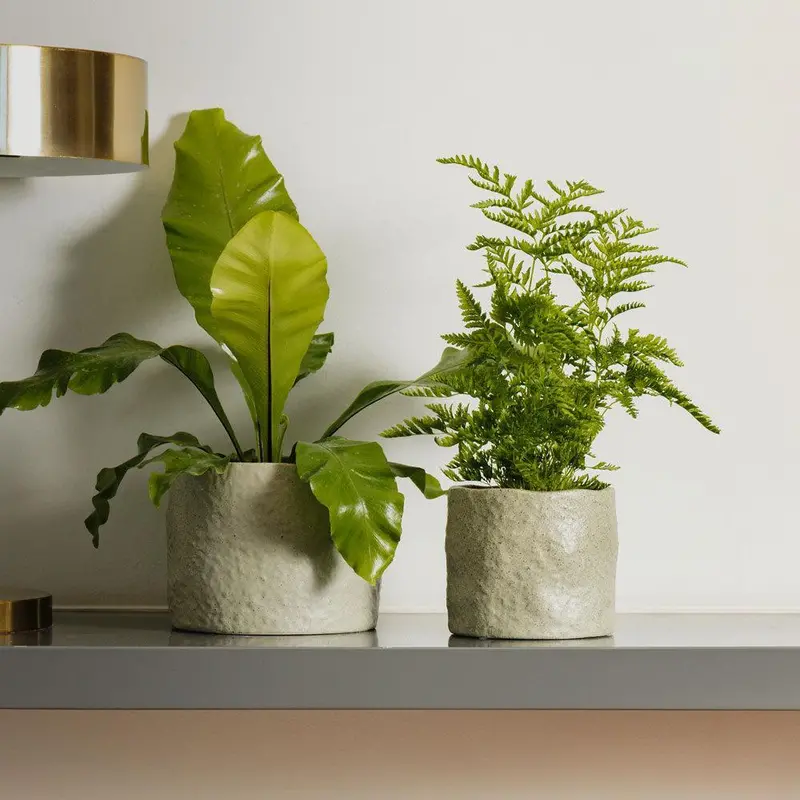 Home.Life Organic Shaped Planter – Dusty Green Ceramic Pot With Textured Finish 1