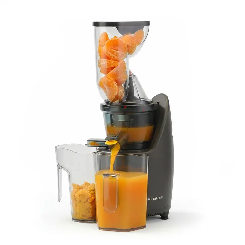 Regalia Full-Fruit Cold Press Slow Juicer – 55 Rpm, 240W Dc Motor, 5-Year Motor Warranty 1